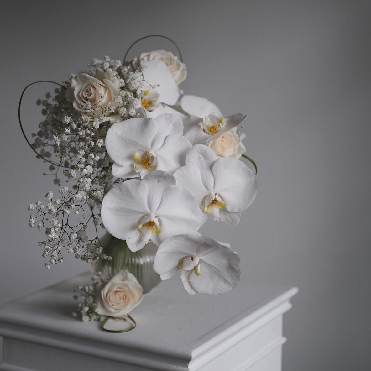 Phalaenopsis Orchid + Premium Rose