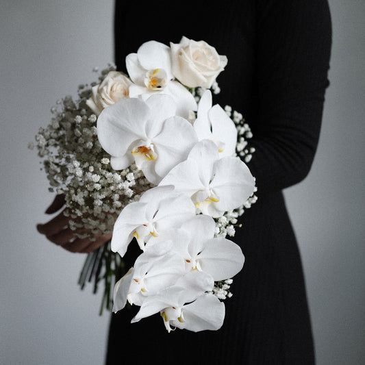 Phalaenopsis Orchid + Premium Rose