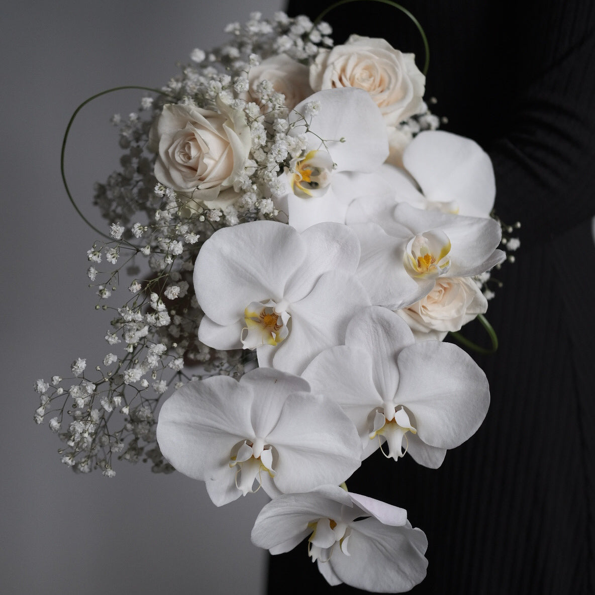 Phalaenopsis Orchid + Premium Rose