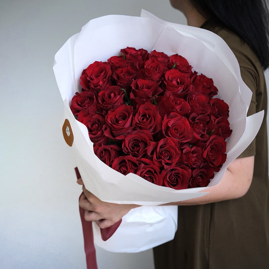 Explorer Red